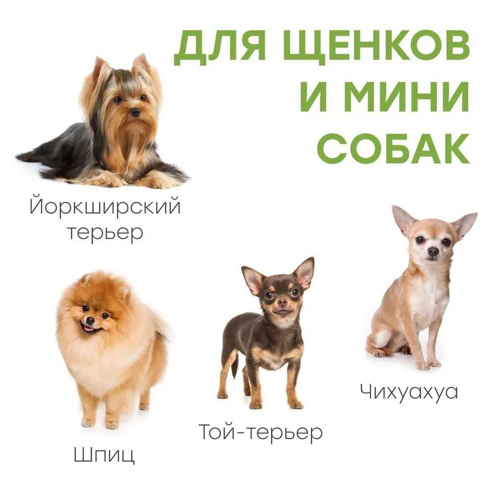 Туалет лоток для собак мелких пород под пеленку