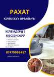 Кілемдерді кәсіби жуу