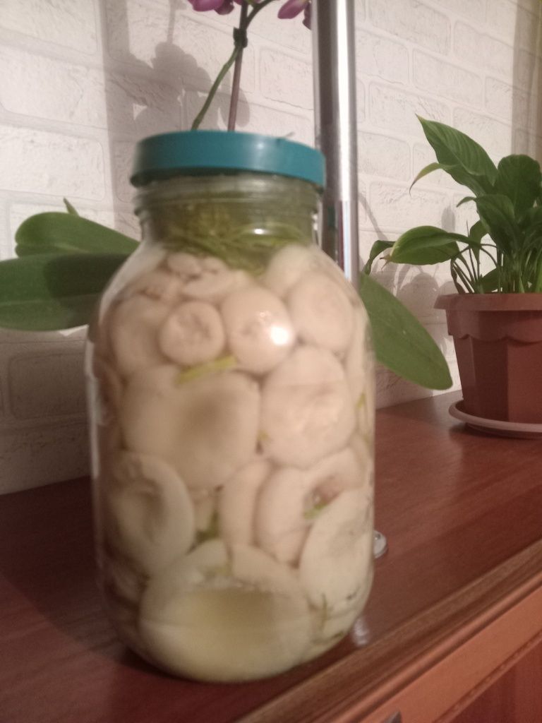 Соленые грузди вкусного посола!!!
