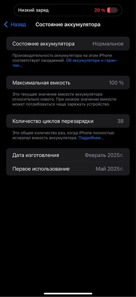 iPhone 16 Pro Max 256 GB 2 месяца