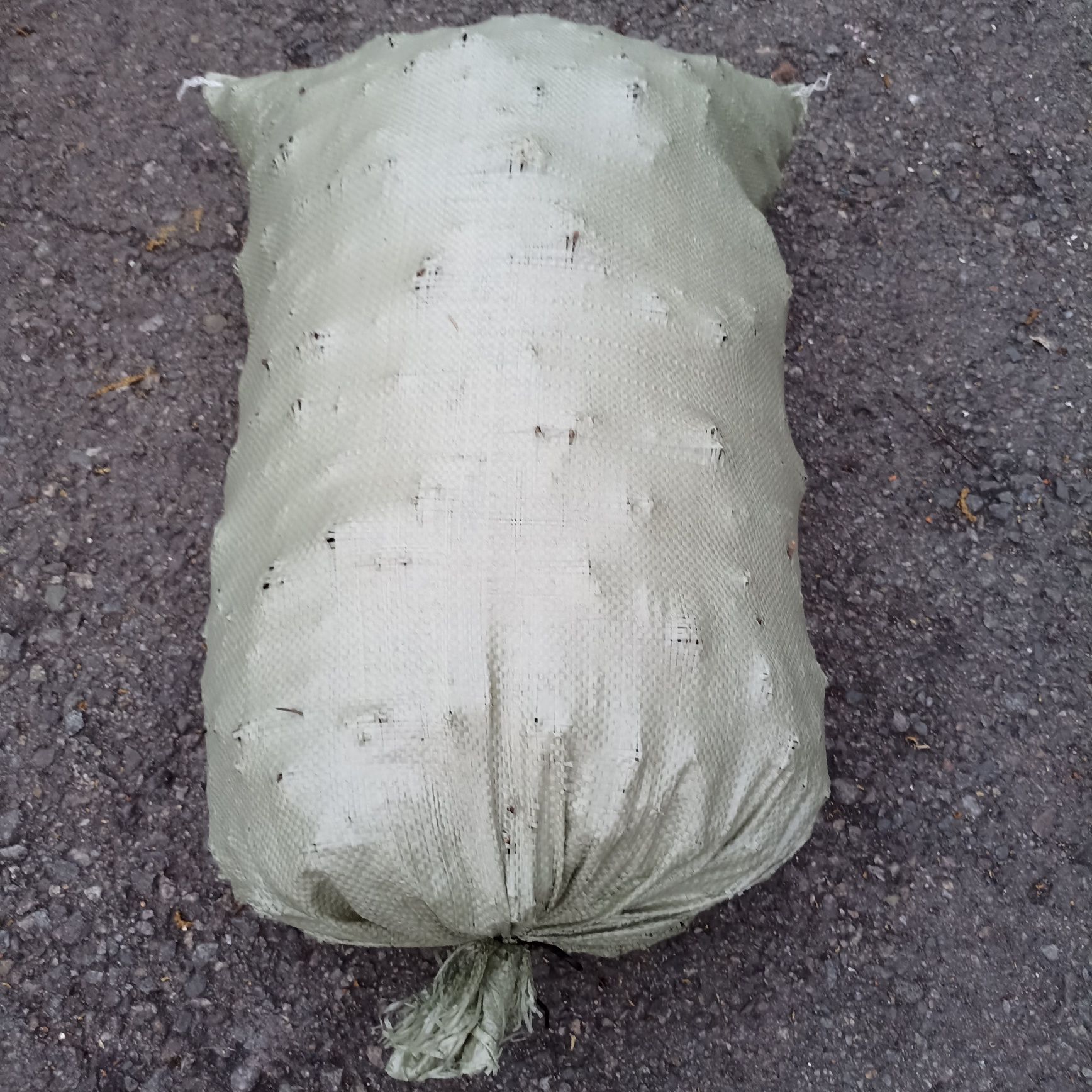 Продам шишки сухие