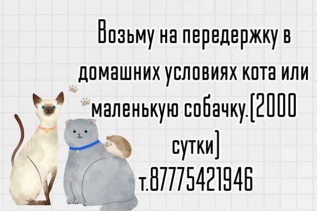 Возьму на передержку