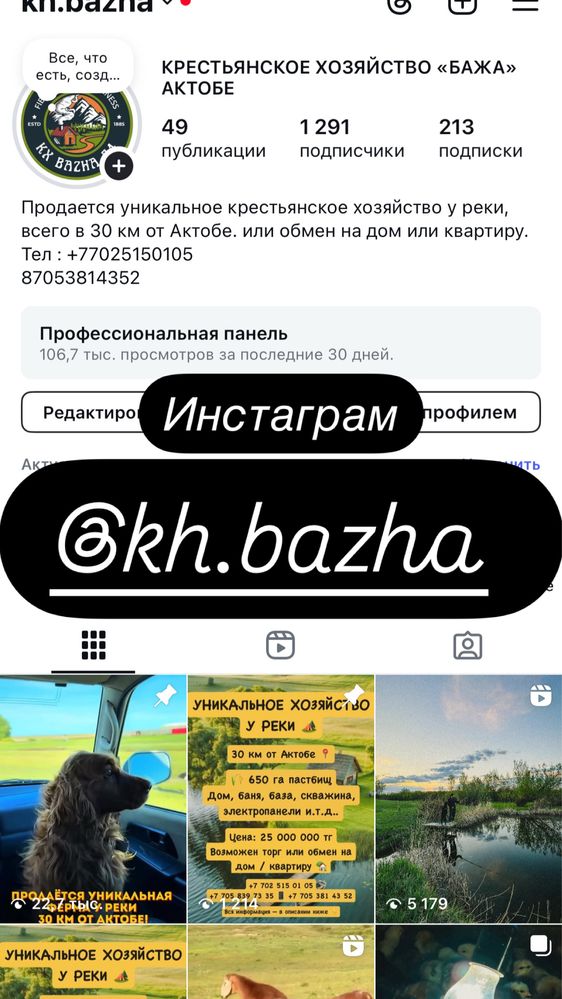 Продам крестьянское хозяйство