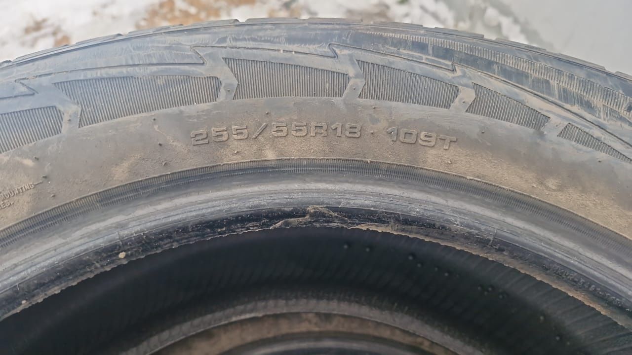 Шины goodyear R-18 55/255