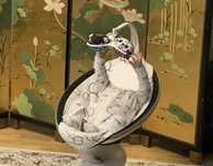 4 Moms Mamaroo Кресло качалка