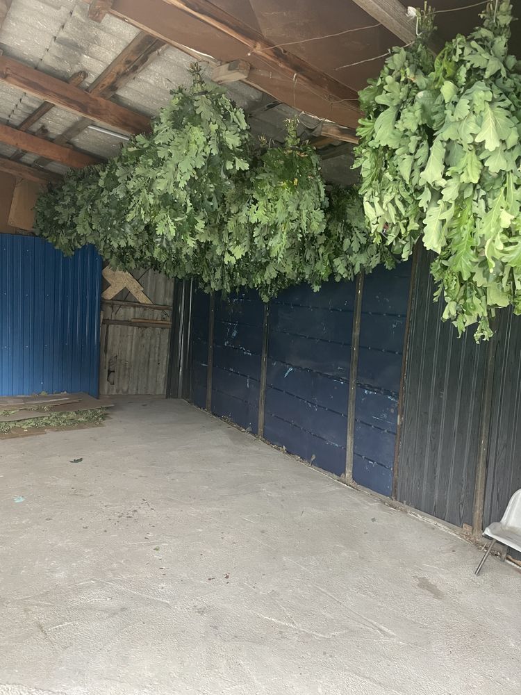 Продам дом в центре