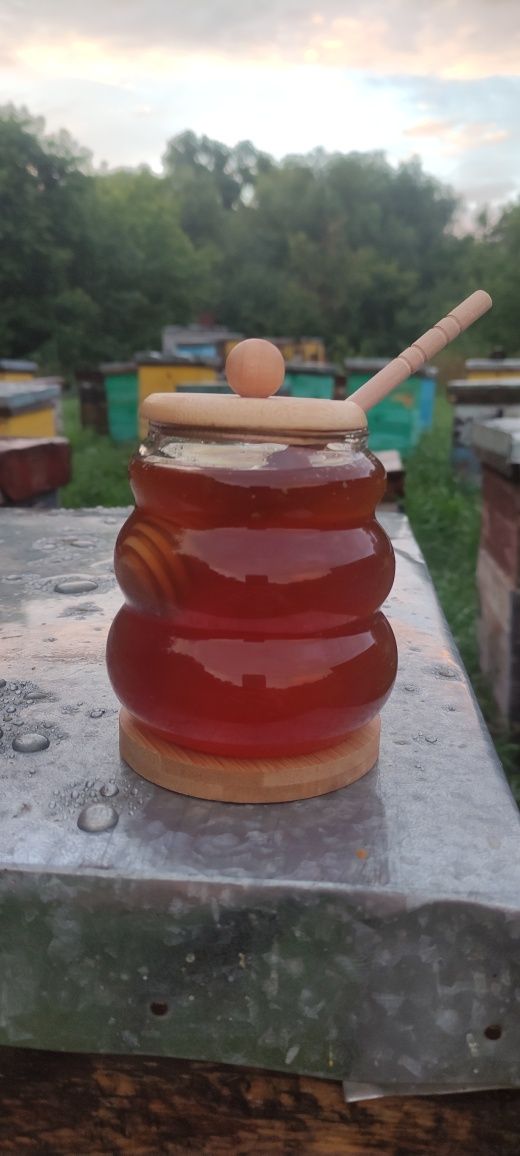 Мед. Урожай 2025