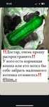 Котятки ищут своих хозяев