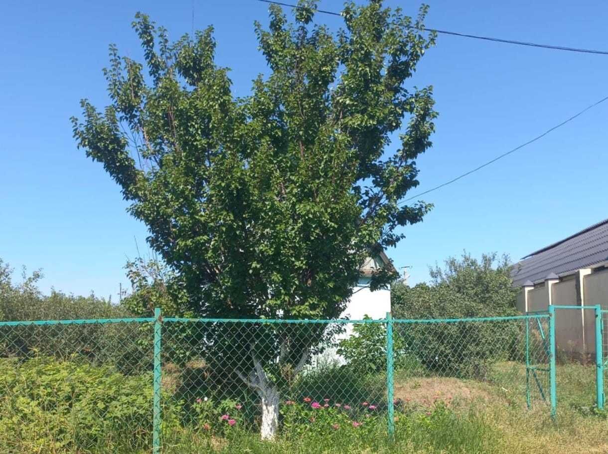 Продам дачу в обществе "Степное" (дачи КНБ) под строительство