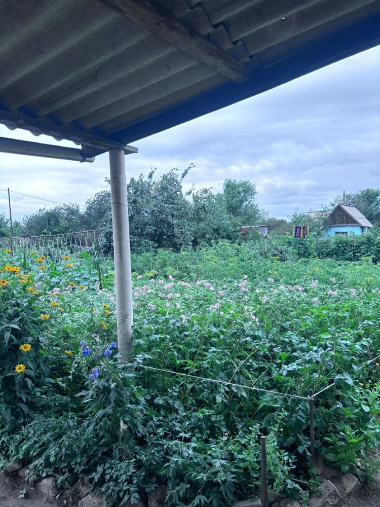 Продам дачу. Сад «Северный»