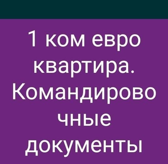 1 комЦЕНТрЕвро КомандировДокументы шевченко толебаева,  документы  .
