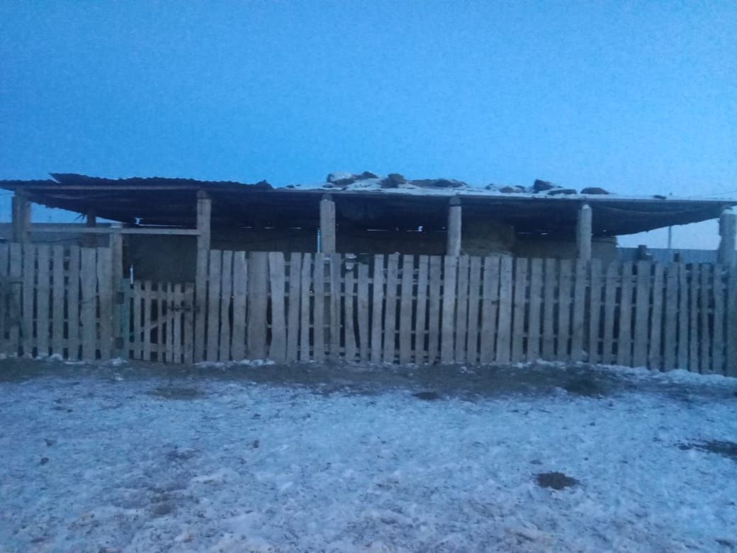 Сельское хозяйство