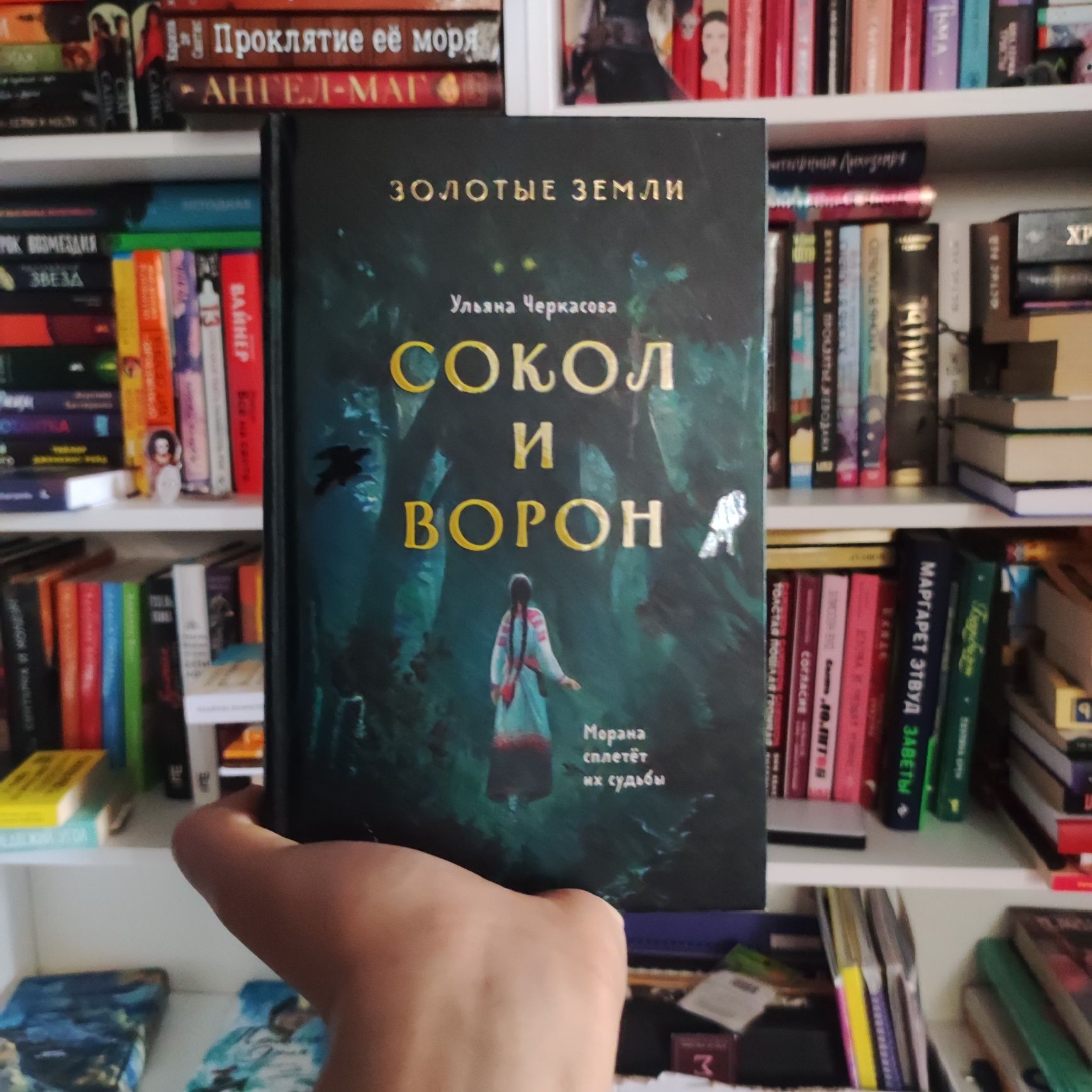 Книга Сокол и Ворон