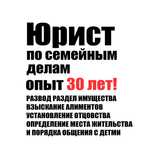 ЮРИСТ ПО СЕМЕЙНЫМ ДЕЛАМ! Раздел совместно нажитого имущества. РАЗВОД.