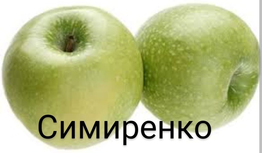 "Алма жеміс-жидек көшеттерін сатамыз/Продаем саженцы яблок,ягод и фрук