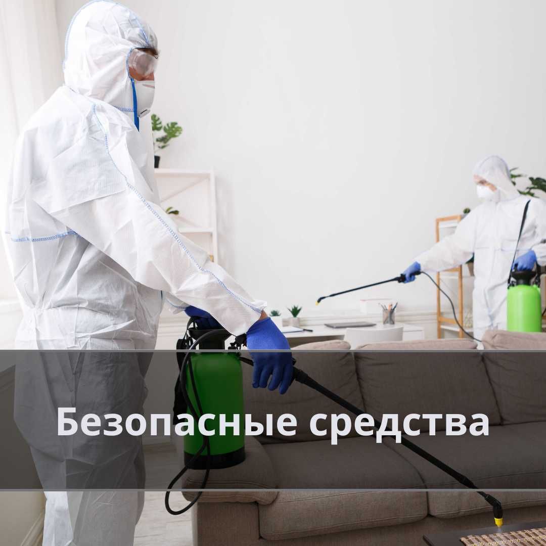 Дезинфекция Уничтожение клопов крыс комаров муравьев тараканов клещей
