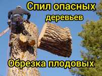 Спил обрезка деревьев.