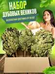 Дубовый веник | Банный веник | Веники для бани и сауны