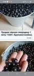 Продам чёрную смородину