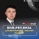 Миграционный юрист, ВНЖ, РВП , Виза, Гражданство , Открытие ТОО, БИН