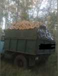Продам дрова швырок
