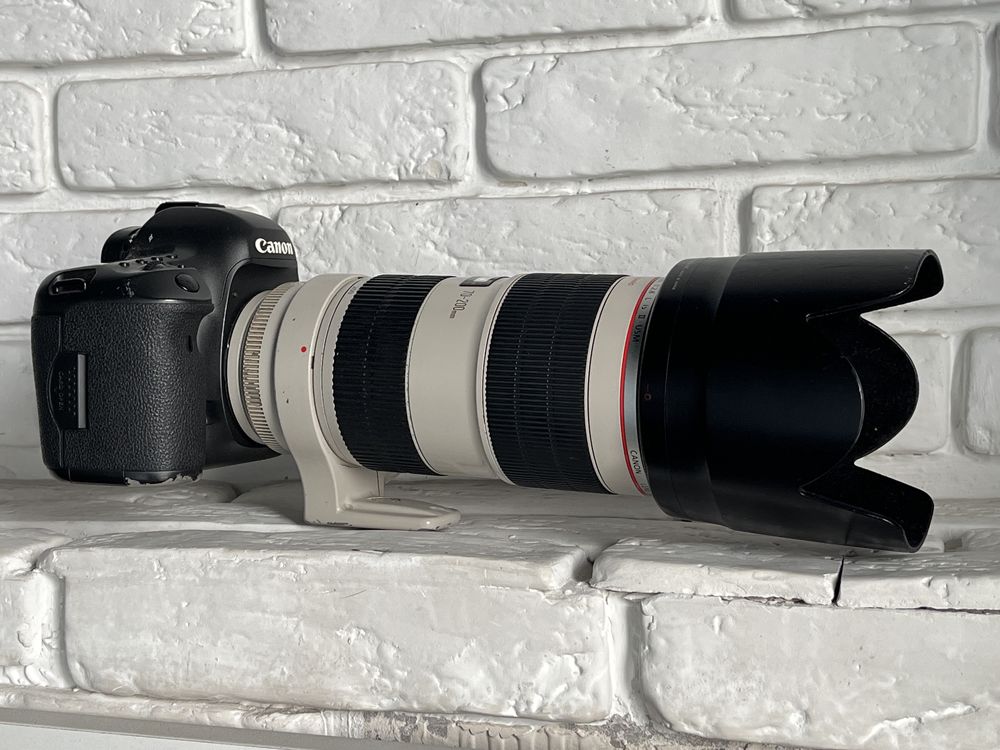 Canon EOS 5Ds + Canon EF 70-200mm f/2.8L IS II USM