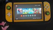 Nintendo switch lite