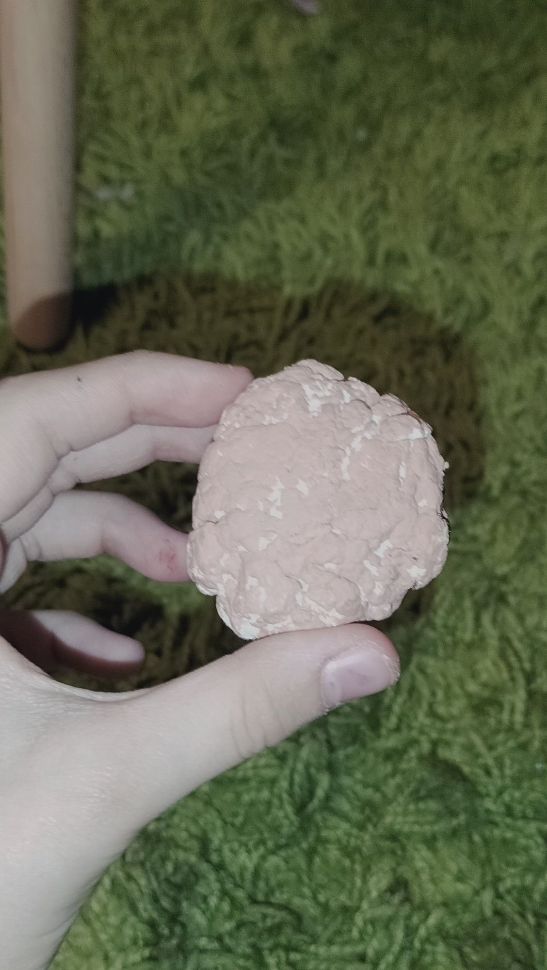 Печенье самодельное крепкая для Фурри фэндома
