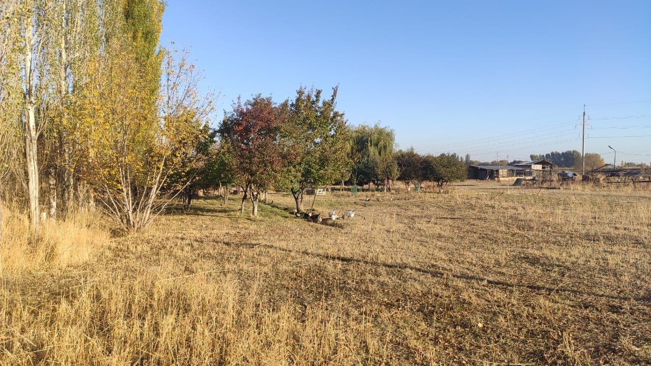Продам или сдам в аренду промбазу. Можно под произв, сельхоз, ферму и