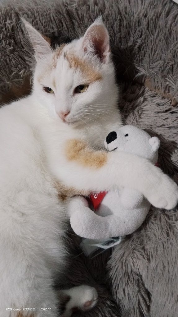 Снежана ждёт свою семью