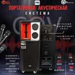 PRO портативная акустическая система COV 118  200watt