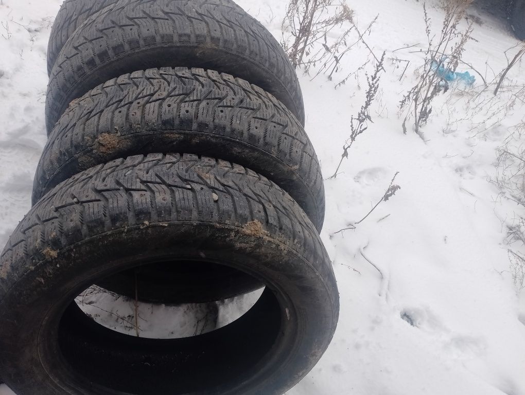 зимние ризина 185/65/15