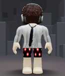 Roblox  аккаунт .