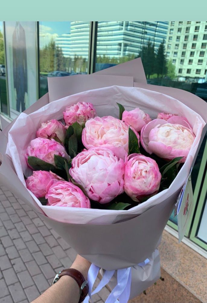 Пионы Астана Круглый год Голландия