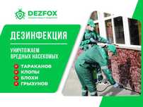 Санитарная Обработка Дезинфекция Квартиры Складов От Мышей Крыс Грызун