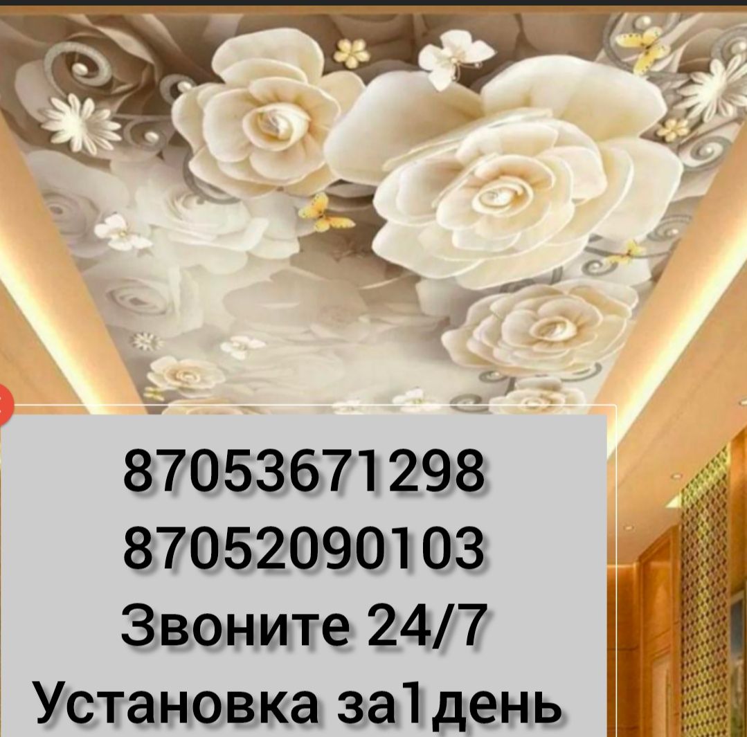 Натяжные потолки МСД премиум класса