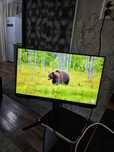 Samsung 240 герц Samsung odyssey g4