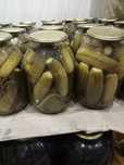 Продам огурцы домашние