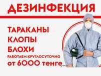 Дезинфекция таракан, клоп, қандала, маса, шыбын | Kaspi RED