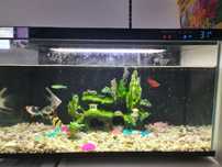 Xiaomi Mijia Smart Fish Tank MYG100  умный аквариум 20 л