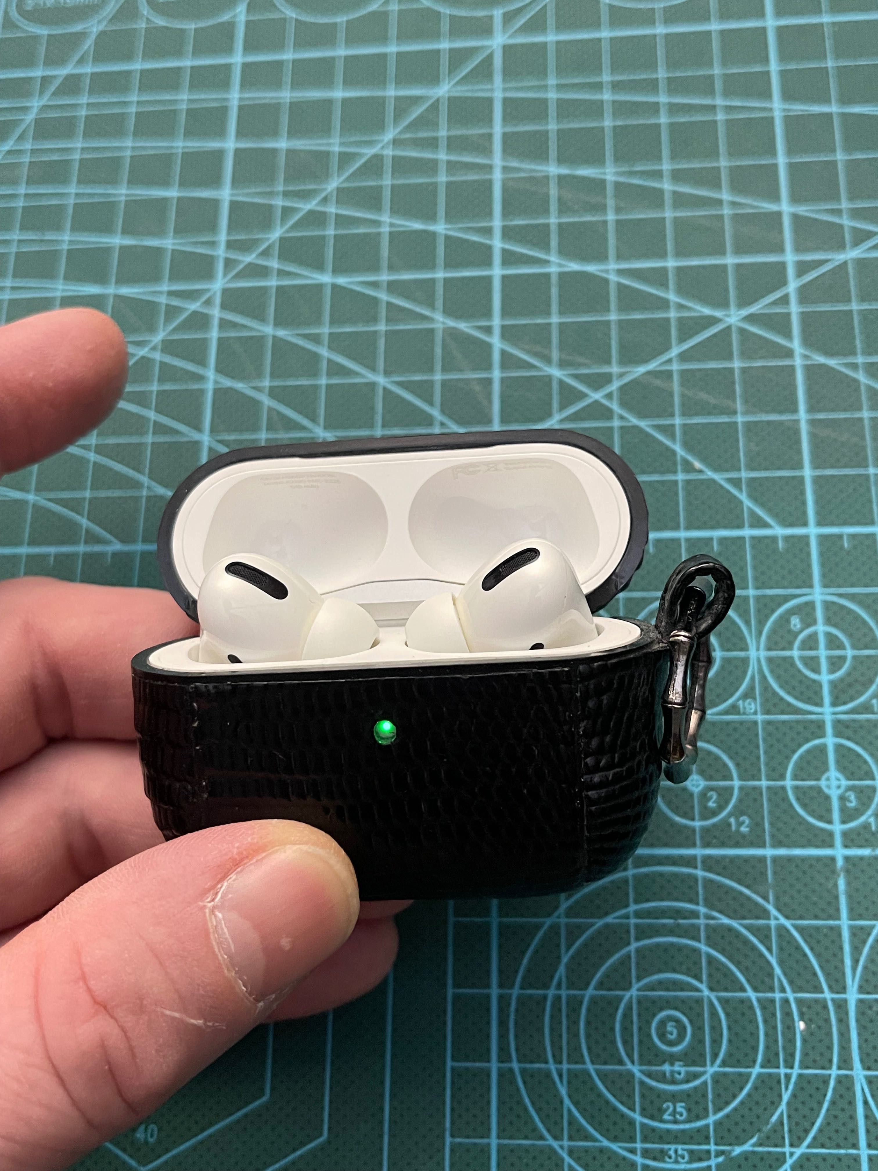 Чехол для AirPods Pro из натуральной кожи игуаны