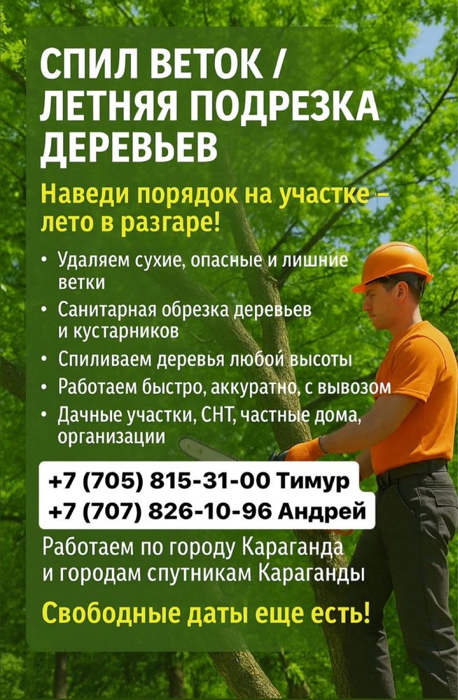 Спил дерева аккуратно и безопасно