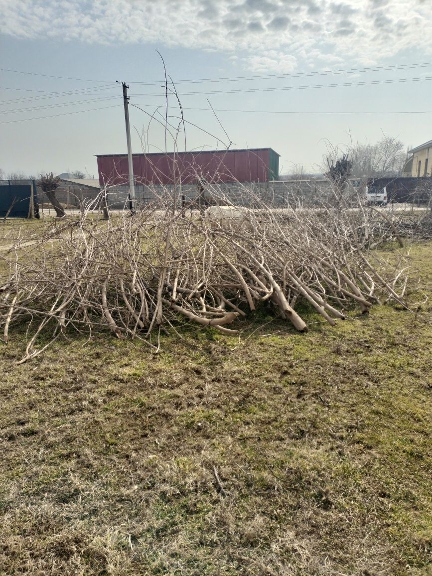 Отын 1 камаз бар