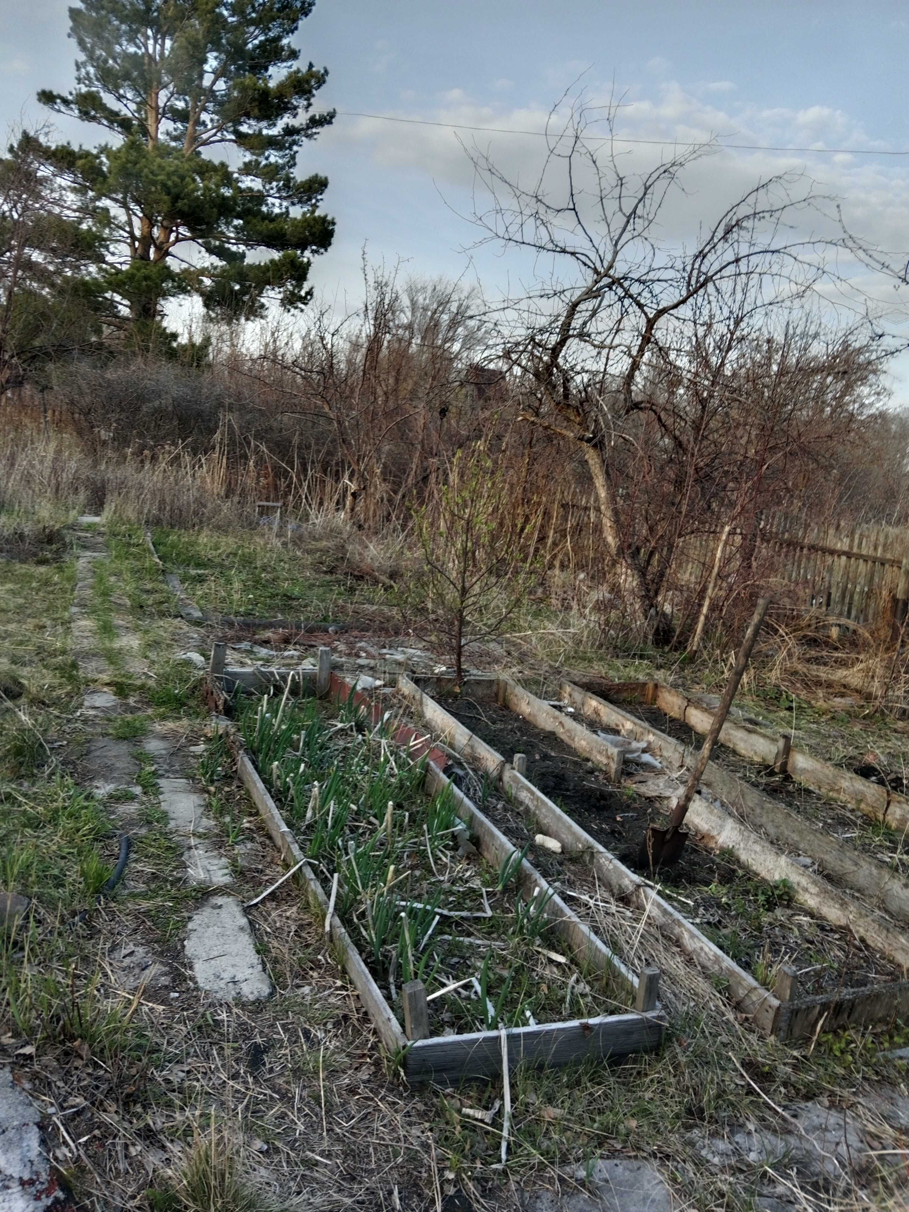 Продам дачу в с.о Чапаевские