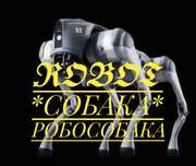 Робот Собака VR очки Пейнтбол Лучный тир Фейерверк Фаершоу