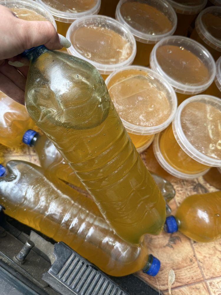 Продам свежий, натуральный мед, недорого