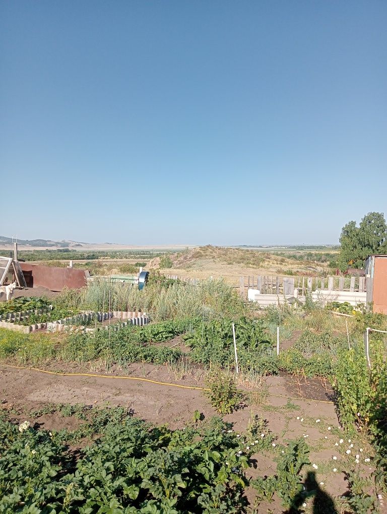 Дачный участок. Железнодорожные дачи.