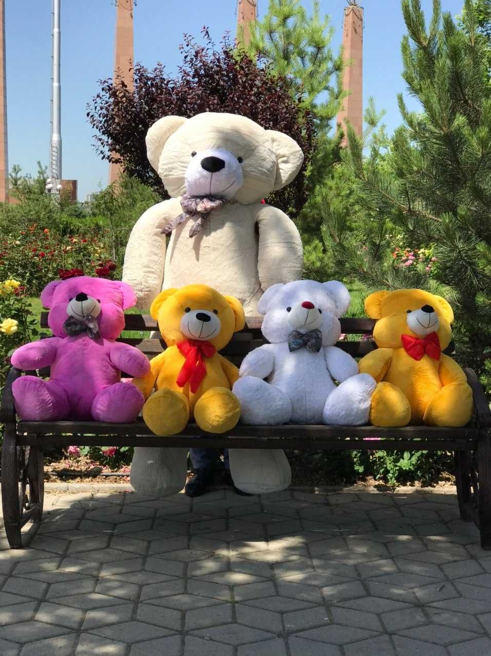 Плюшевые Мишки Мягкие Игрушки Подарки Цветы Букеты Айфон Самсунг