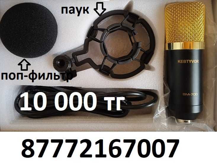 Студийные микрофоны XLR/USB