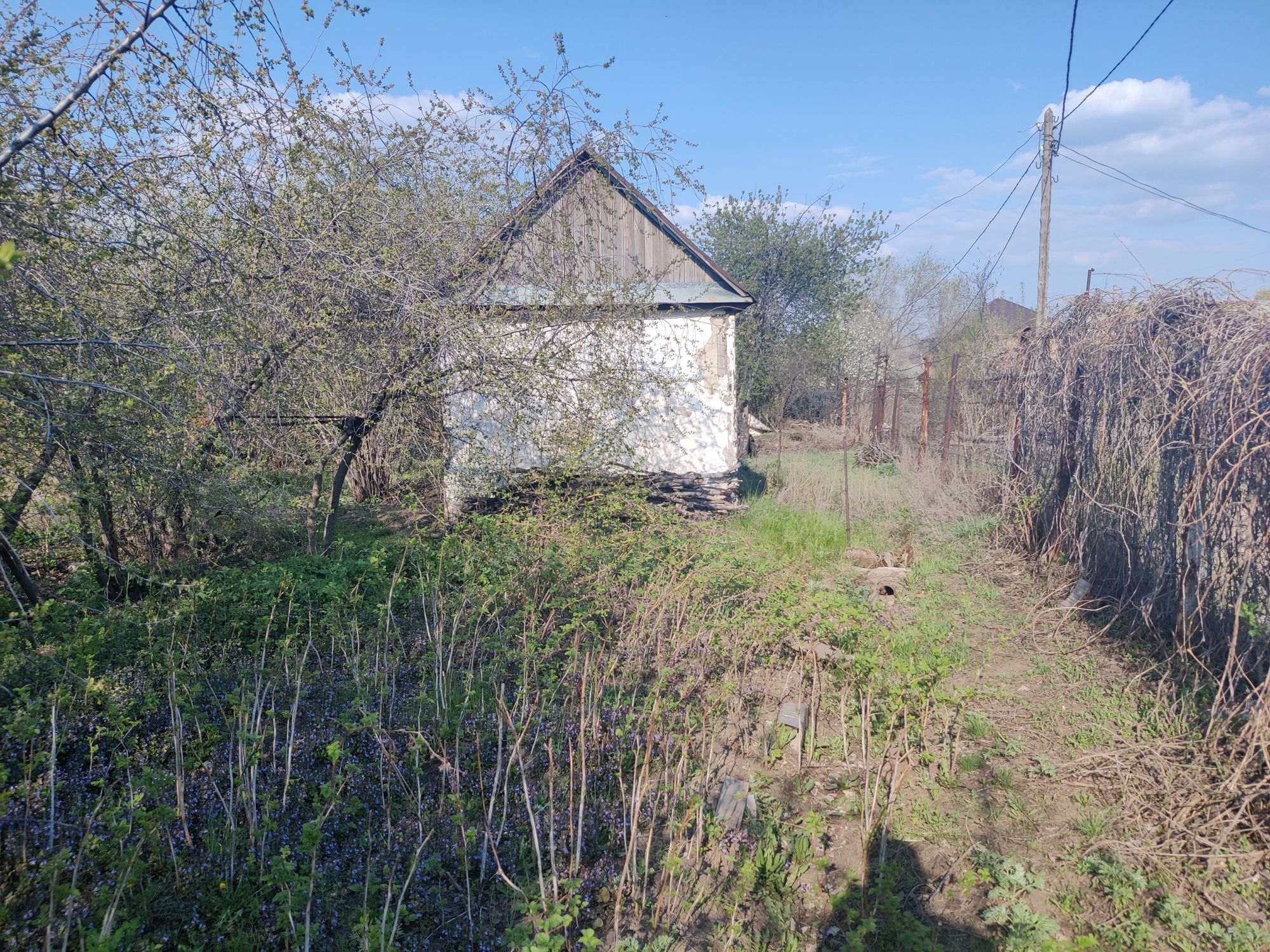 Продам участок, с/т Локомотив. р-н "Айгуль"